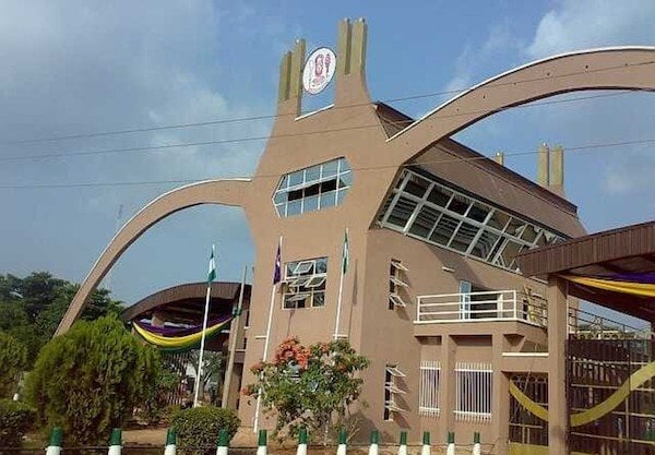 10+ Popular ways To Make Money as a Student in Nigeria 1