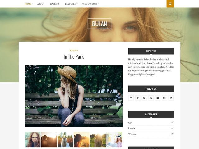 Free WordPress Themes with Removable Footer Credits 4