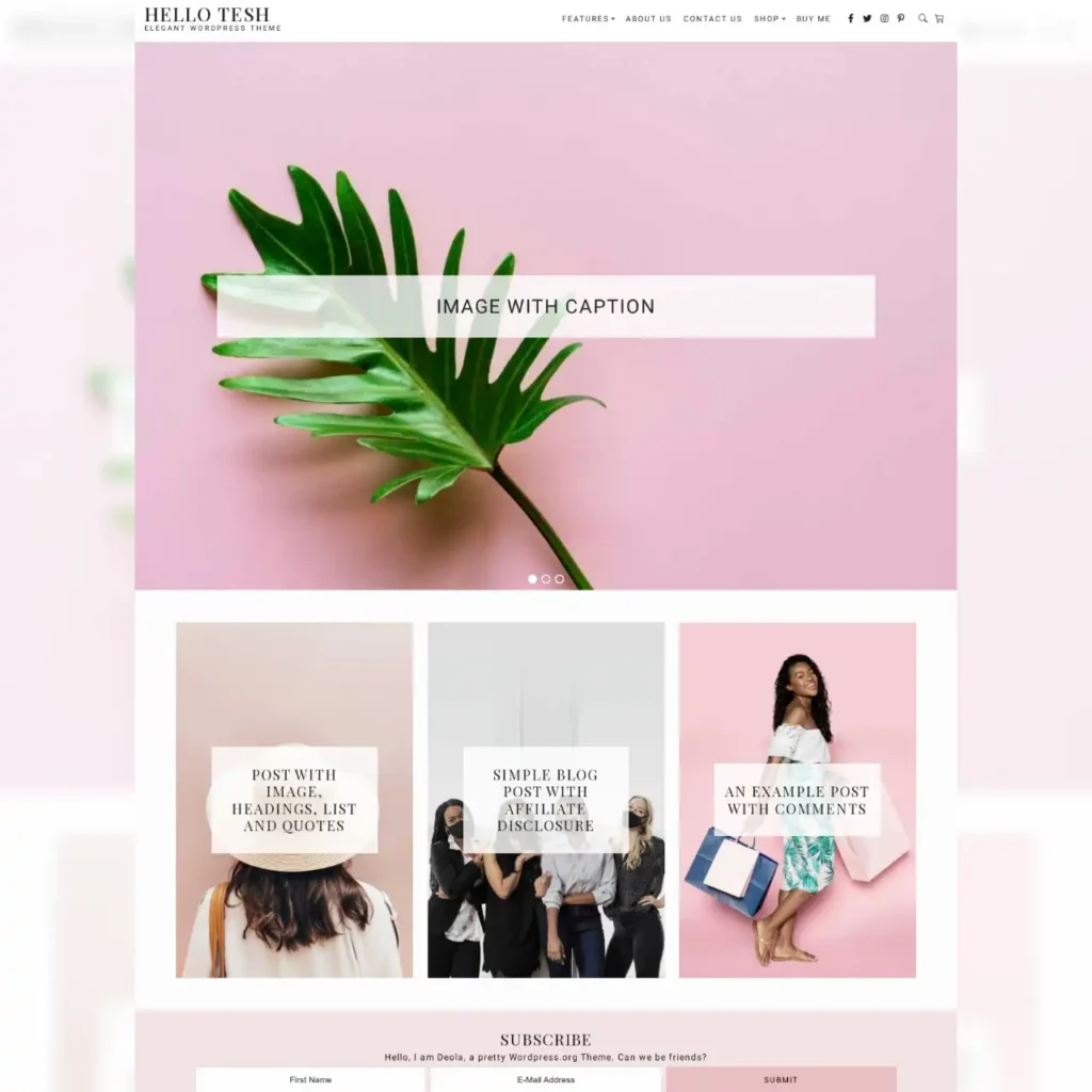 Tesh feminine wordpress theme